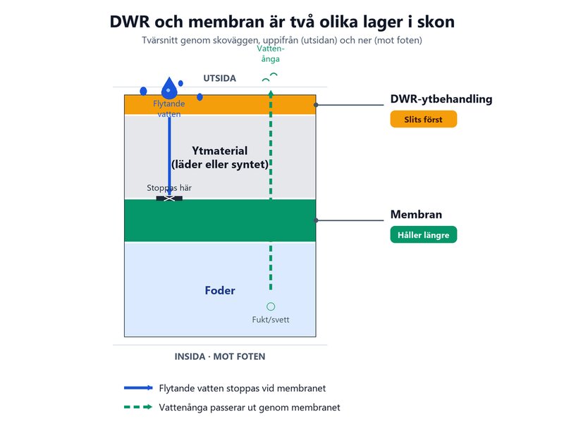 Tvärsnitt av en vandringskängas vägg som visar DWR-ytbehandlingen som pärlar av vatten, membranet som stoppar flytande vatten men släpper ut vattenånga, samt ytmaterial och foder