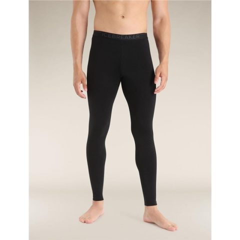 Icebreaker 200 Oasis Leggings Monsoon XL