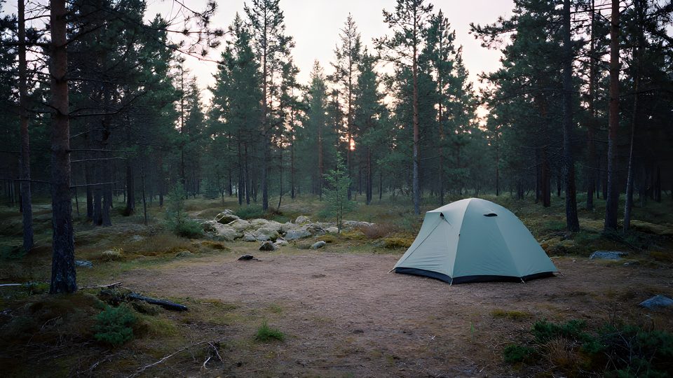 En väl vald lägerplats med tält på torr, jämn mark i skyddad barrskog.